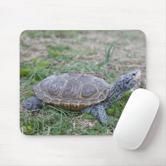 Diamantmarkierungsdosenschildkröte-Schildkröte Mousepad (Mit Mouse)