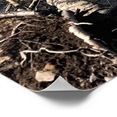 Diamantsee, Oregon Poster (Ecke)