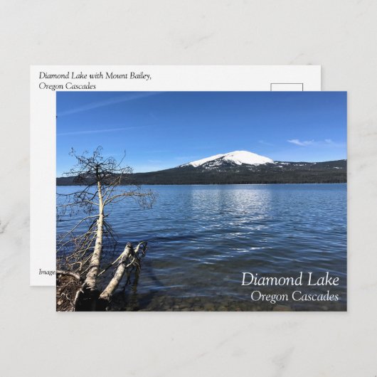 Diamantsee, Oregon Postkarte (Vorne/Hinten)