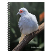 Diamanttaube im Spotlight Notizblock (Vorderseite)