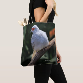 Diamanttaube im Spotlight Tasche