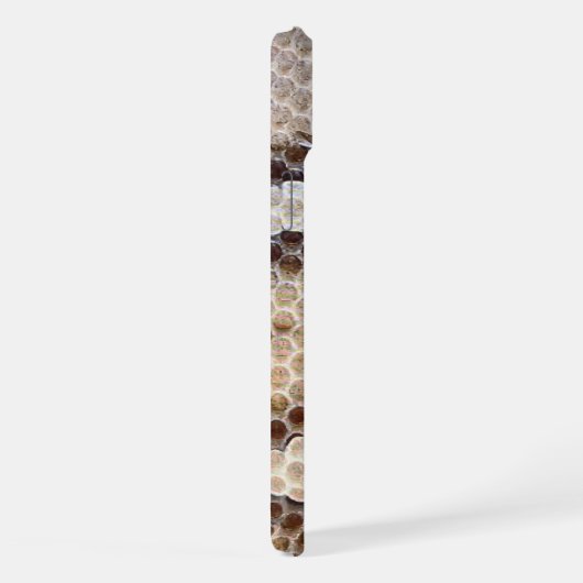 Diamond Back Rattlesnake iPhone Hülle (Rechte Seite)