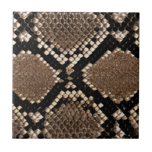 Diamond Back Rattlessnake Skin Fliese (Vorderseite)