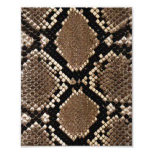Diamond Back Rattlessnake Skin Fotodruck