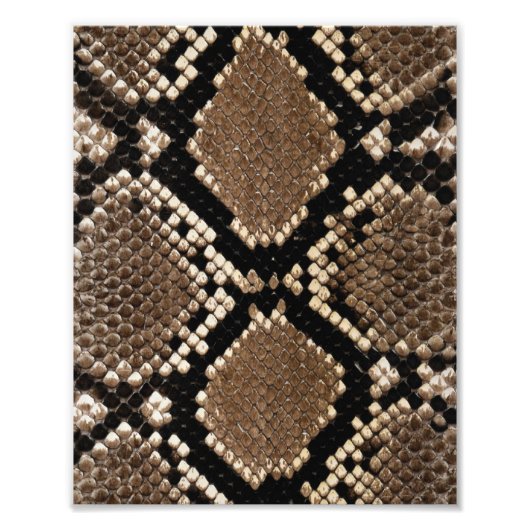 Diamond Back Rattlessnake Skin Fotodruck (Vorne)