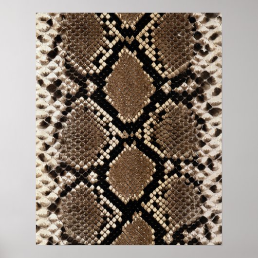 Diamond Back Rattlessnake Skin Poster (Vorne)