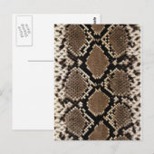 Diamond Back Rattlessnake Skin Postkarte (Vorne/Hinten)