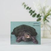 Diamond Back Terrapin Postkarte (Stehend Vorderseite)