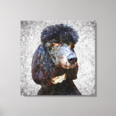 Diamond Collar Black Poodle Leinwanddruck (Vorderseite)