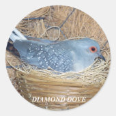 DIAMOND DOVE AUF NEST STICKER (Vorderseite)