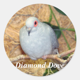 DIAMOND DOVE RUNDER AUFKLEBER