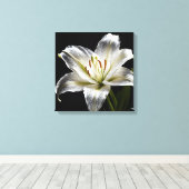 Diamond Dust Lily Leinwanddruck (Insitu (Holzboden))