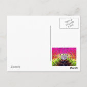 Diamond-Fraktal Postkarte (Rückseite)