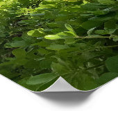 Diamond Head Sky Poster (Ecke)