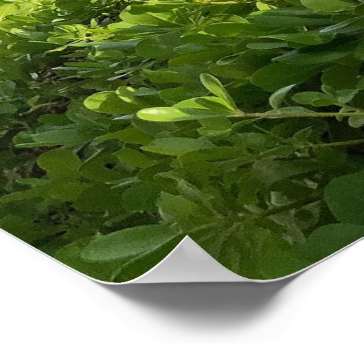 Diamond Head Sky Poster (Ecke)