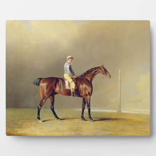 Diamond, mit Dennis Fitzpatrick Up, 1799 (Öl auf Fotoplatte