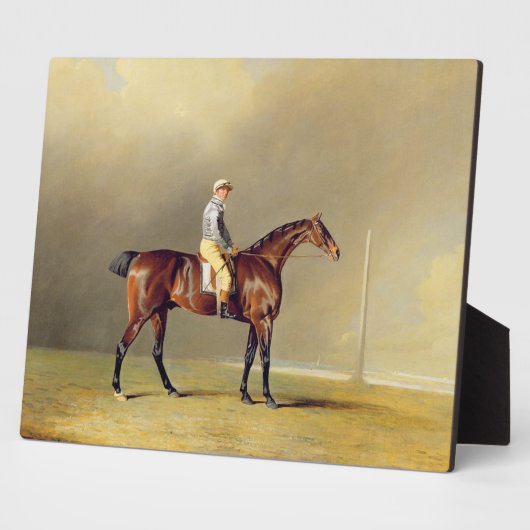 Diamond, mit Dennis Fitzpatrick Up, 1799 (Öl auf Fotoplatte (Seite)