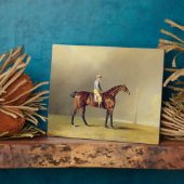 Diamond, mit Dennis Fitzpatrick Up, 1799 (Öl auf Fotoplatte (Seite)