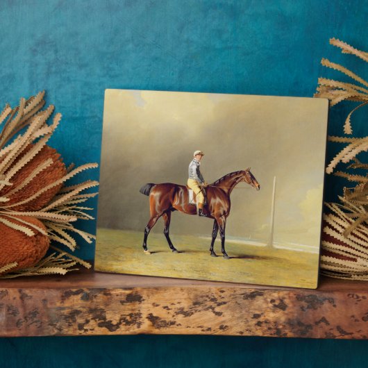 Diamond, mit Dennis Fitzpatrick Up, 1799 (Öl auf Fotoplatte (Seite)