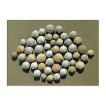 DIAMOND-MUSCHELN 10x14