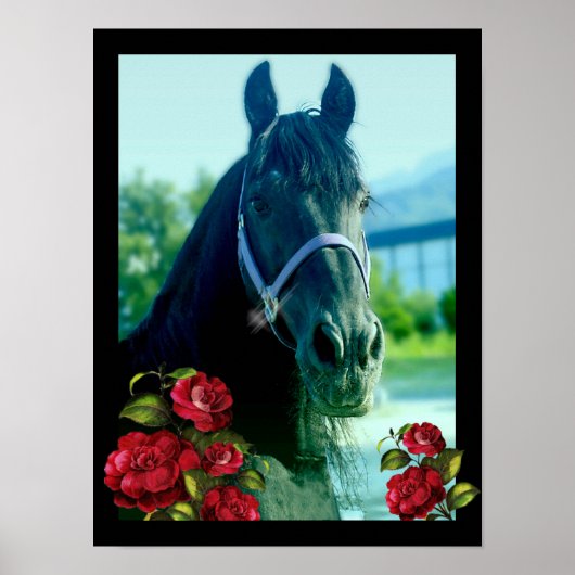 DIAMOND-Portrait - Poster (Vorne)