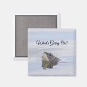 Diamondback Terrapin Turtle Face Magnet (Vorderseite/Rückseite)