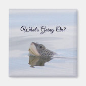 Diamondback Terrapin Turtle Face Magnet (Vorne)