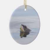 Diamondback Terrapin Turtle Face Ornament (Rechts)