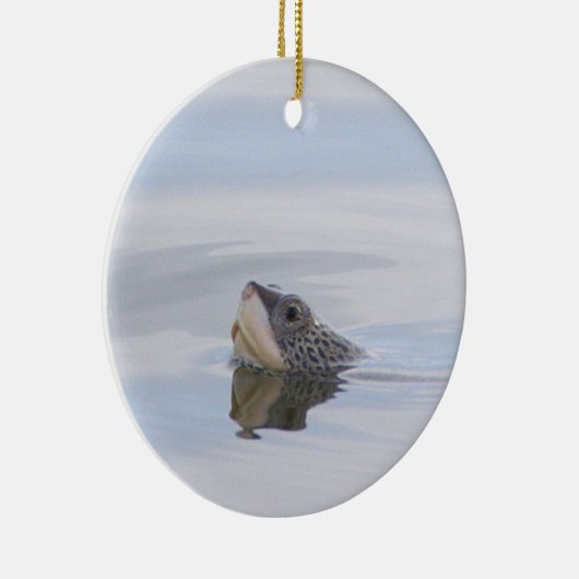 Diamondback Terrapin Turtle Face Ornament  (Rechts)