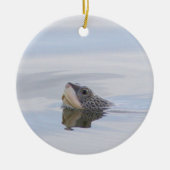 Diamondback Terrapin Turtle Face Ornament  (Vorne)