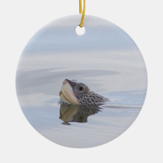 Diamondback Terrapin Turtle Face Ornament  (Vorne)