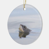 Diamondback Terrapin Turtle Face Ornament (Links)