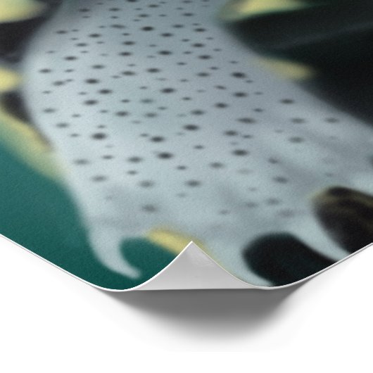 Diamondback Terrapin Turtles Poster (Ecke)