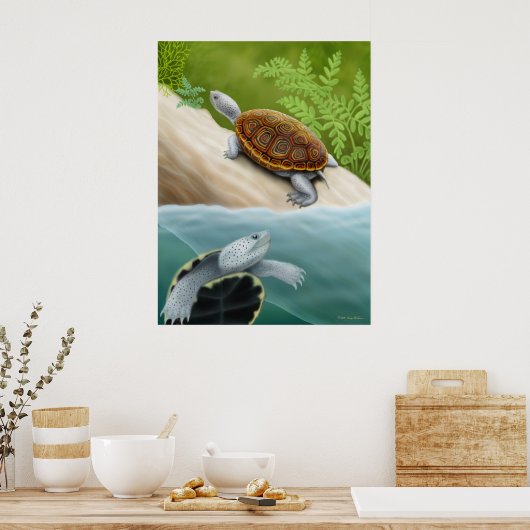 Diamondback Terrapin Turtles Poster (Küche)