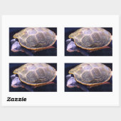 Diamondback Turtle Rechteckiger Aufkleber (Blatt)