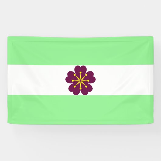 Diamoric Pride Banner (Horizontal)