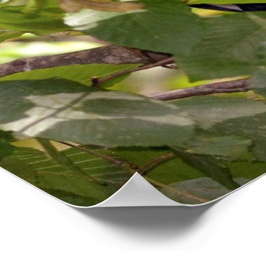 Diana-Affe Poster (Ecke)