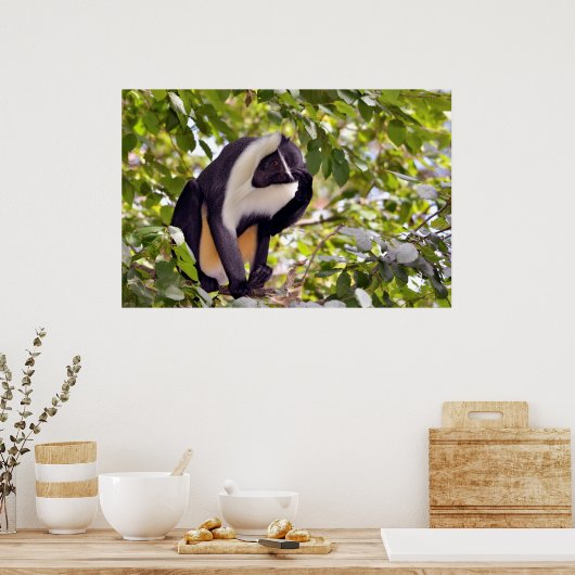 Diana-Affe Poster (Küche)