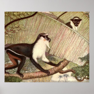 Diana-Meerkatze von Louis Sargent, Vintage-Wildtie Poster
