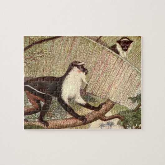 Diana Monkey von Louis Sargent, Vintages Wildtier Puzzle (Horizontal)