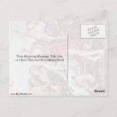 Diana und Nymphen am Morgen von Peter Paul Rubens Postkarte (Rückseite)