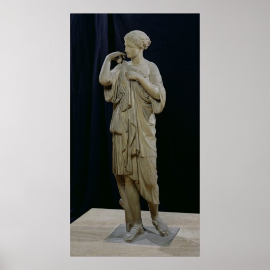 Diana von Gabi Poster (Vorne)