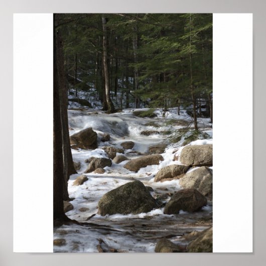 Diana's Baths Poster (Vorne)