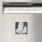 Diane d'Andouins, Grafschaft Gramont Magnet (In Situ (Geschirrspüler))