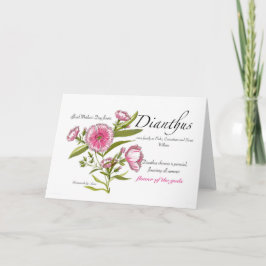 Dianthus Blank Card Dankeskarte