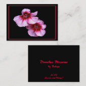 Dianthus blüht ATC Visitenkarte (Vorne/Hinten)