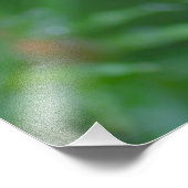 Dianthus-Blume nach Regen Fotodruck (Ecke)