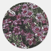DIANTHUS-BLUME RUNDER AUFKLEBER (Vorderseite)