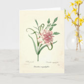 Dianthus caryophyllus karte (Gelbe Blume)