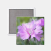 Dianthus Plumarius Blume Magnet (Vorderseite/Rückseite)